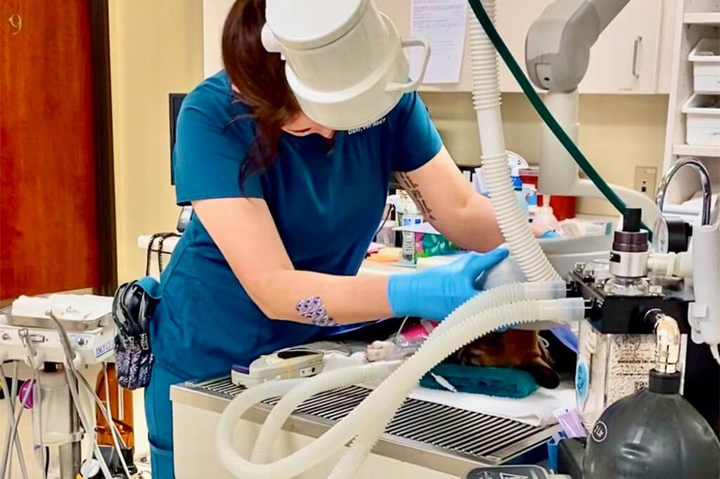 Anesthesizing a patient Anesthesizing a patient