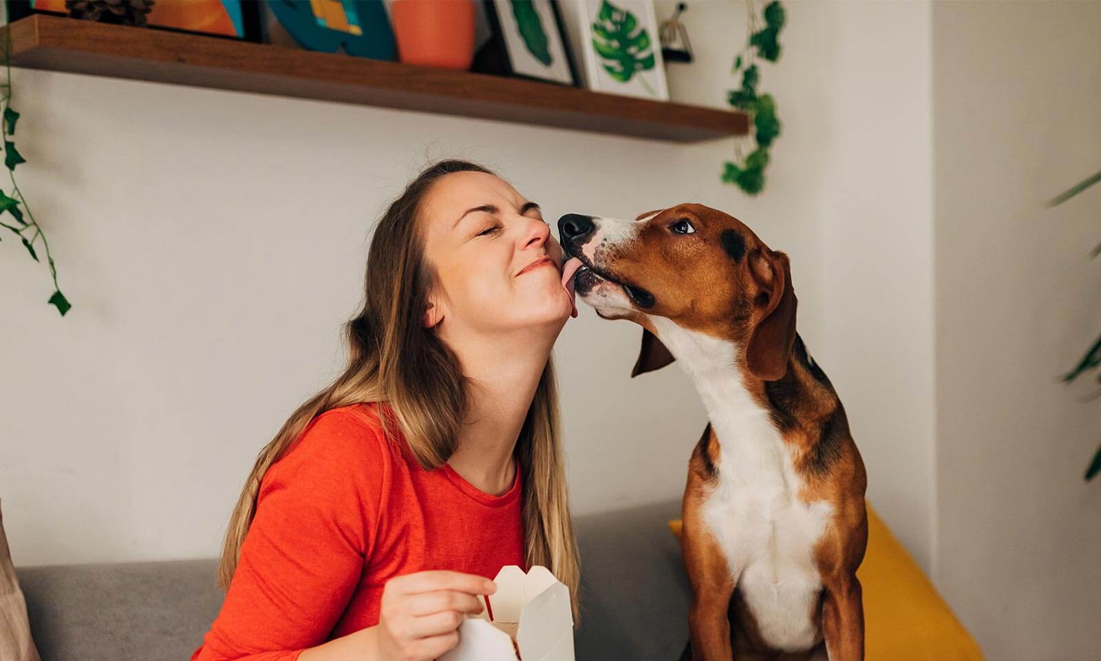 A dog licking a woman's face